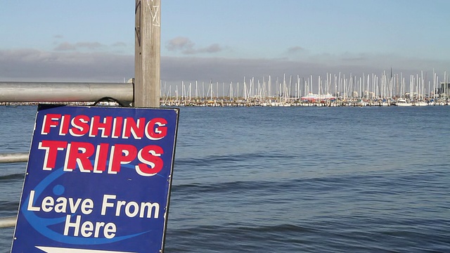 MS View of fishing trip board /墨尔本，维多利亚，澳大利亚视频素材