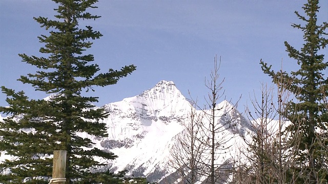 在加拿大不列颠哥伦比亚省的一座滑雪山上，巨大的冬季山峰显露出一个滑雪道标志视频素材