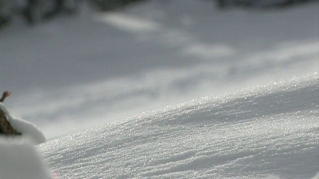 在一个美丽的日子里，加拿大不列颠哥伦比亚省的史密瑟斯滑雪场，雪地覆盖着地面视频下载