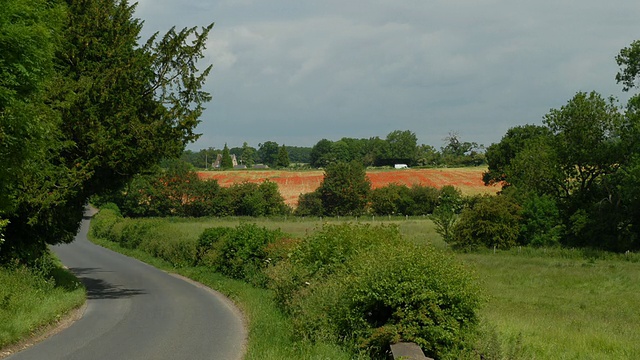 T/L罂粟在大麦和道路与汽车中景，英国视频下载