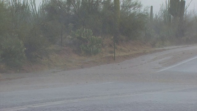 美国亚利桑那州，大雨中，车辆行驶在被洪水淹没的沙漠道路上。视频素材