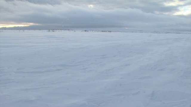 雪花飘过大地视频素材