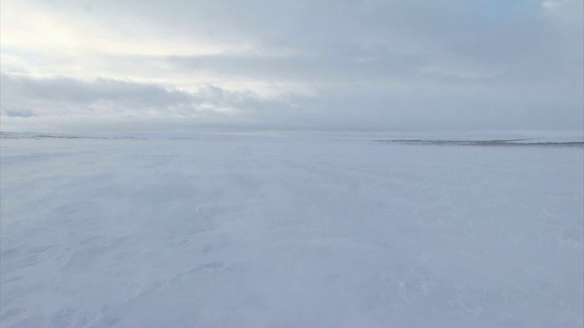 雪花飘过大地视频素材