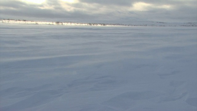 雪花飘过大地视频素材