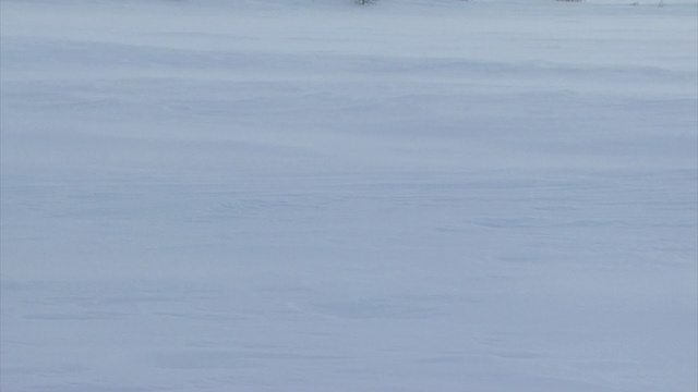 雪吹过白雪皑皑的风景视频素材