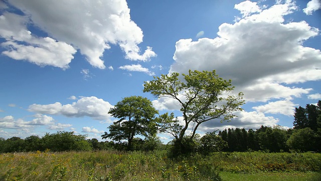 有干草和天空的广阔田野视频素材