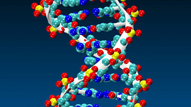 旋转DNA分子的动画视频素材