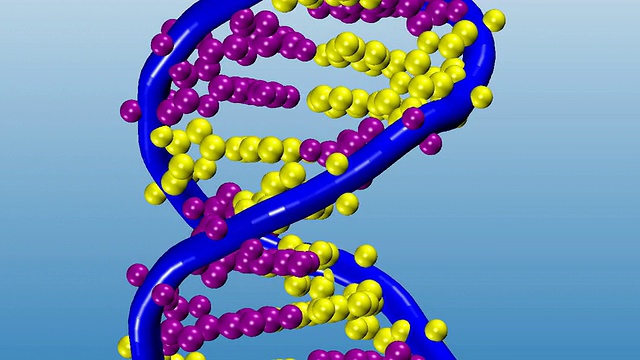 旋转DNA分子的动画视频素材