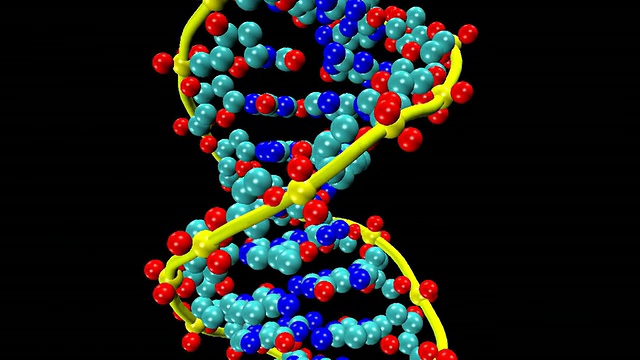 旋转DNA分子的动画视频素材