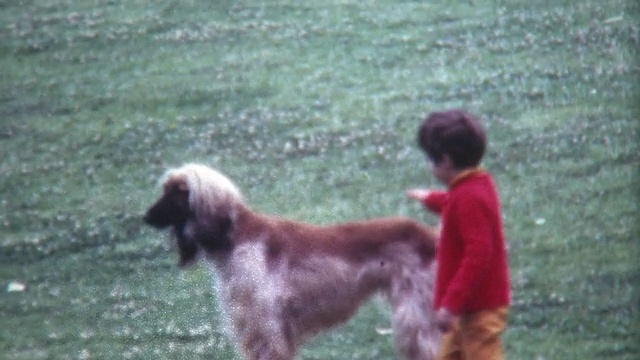 1960年的男孩和猎犬视频素材