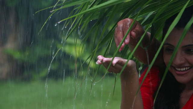 雨中浪漫的情侣视频素材