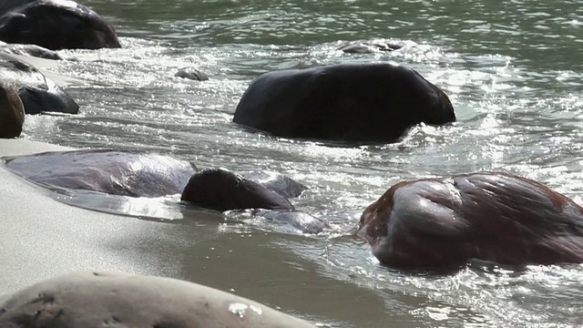 岩石在河岸视频素材