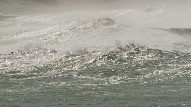 海浪拍打着岩石/大象海滩，福克兰群岛，福克兰群岛视频素材