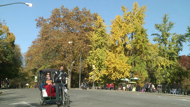 MS Traffic inside Central Park in autumn /纽约，纽约，美国视频素材