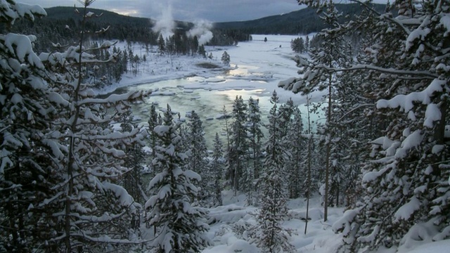 白雪森林景观/黄石国家公园，怀俄明州，美国视频素材