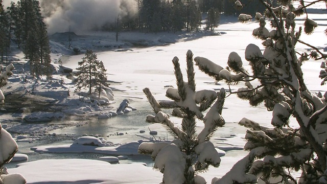 WS TU雪域森林景观与地热活动/黄石国家公园，怀俄明州，美国视频素材