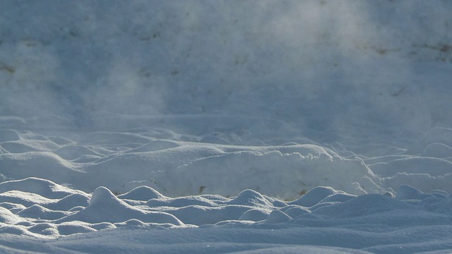 MS View of Deep snow地热蒸汽经过/黄石国家公园，怀俄明州，联合视频素材