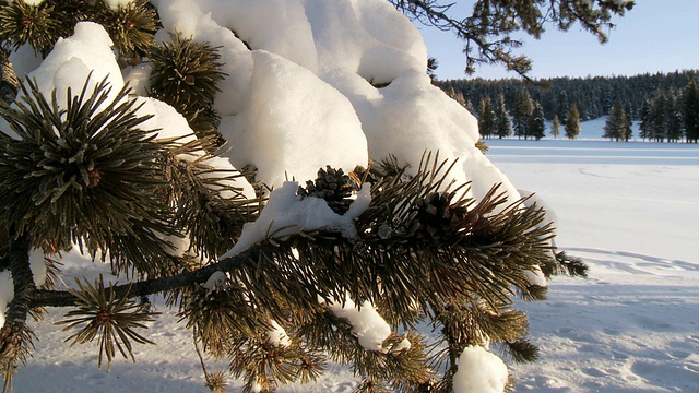 潘雪林景观/黄石国家公园，怀俄明州，联合视频素材