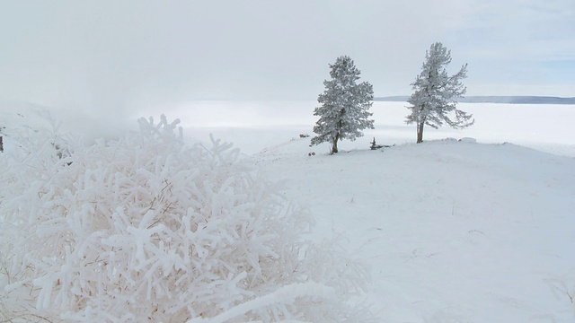 WS霜详细雪景/黄石国家公园，怀俄明州，联合视频素材