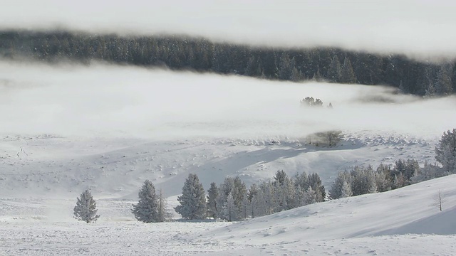 美国怀俄明州，黄石国家公园，薄雾掠过积雪的森林景观视频素材