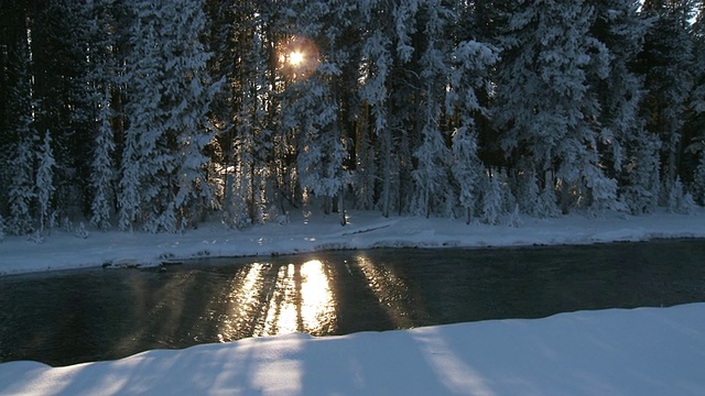 美国怀俄明州的黄石国家公园，在积雪森林景观前流淌的潘河视频素材