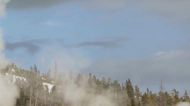 MS地热蒸汽经过雪树前/黄石国家公园，怀俄明州，联合视频素材