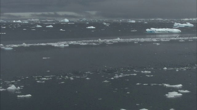 低空，南极洲海面上的浮冰视频素材