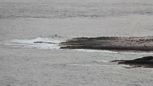 海浪冲击着海滩视频下载