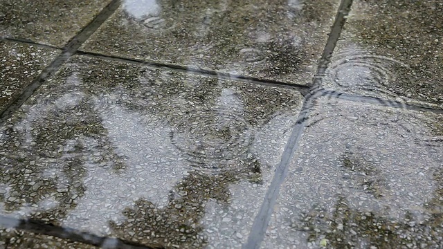 雨在自然界中视频下载