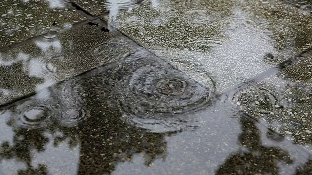 雨在自然界中视频下载