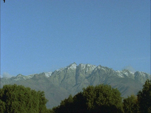 西班牙Dehesa，埃斯特雷马杜拉东北部，一群欧洲鹤(Grus Grus)起飞，飞过树木，飞向群山背景视频素材