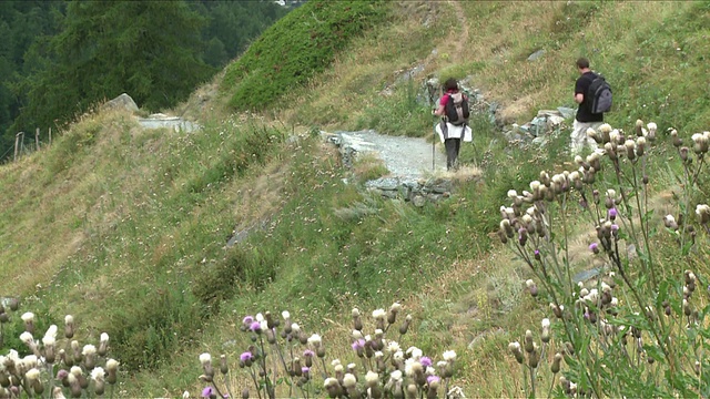 在瑞士瓦莱市芬德尔恩/泽马特的山上行走的MS徒步者视频素材