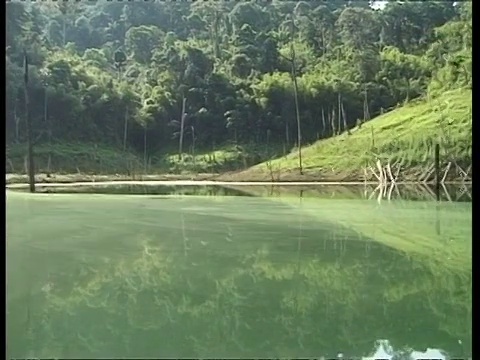 MS追踪横跨水，海岸和森林，泰国视频下载