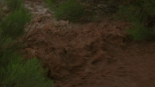 美国亚利桑那州索诺兰沙漠雨后倾泻而下的浑褐色水视频下载