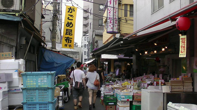 日本东京筑地鱼市视频素材