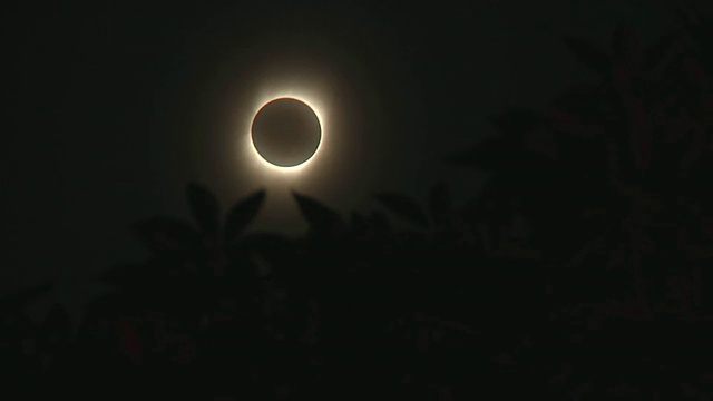 MS Eclipse of sun with tree leaves in foreground /浙江杭州，中国视频素材