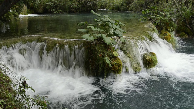 MS小瀑布国家公园/ Plitvice, Lika-Senj，克罗地亚视频素材