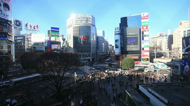 日本东京涩谷的WS T/L日视图视频素材