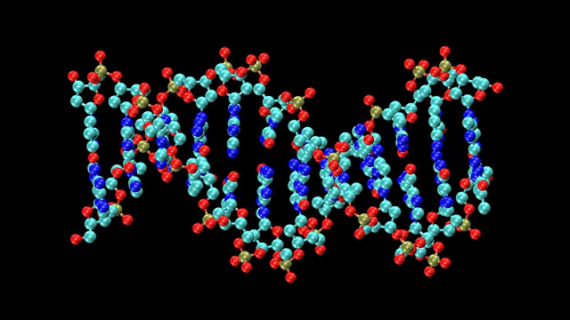 旋转DNA分子的动画视频素材