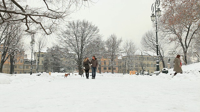 在冬天，一对夫妇走过下雪的城市公园视频素材