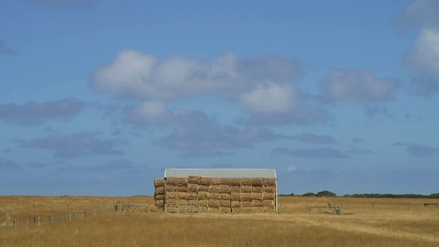 MS Hay包堆放在port fairy / Melbourne, Victoria, Australia视频素材