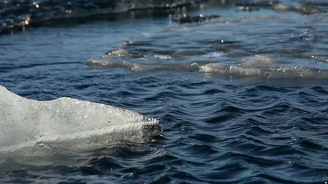 融化的冰川漂浮和移动在jokulsarlon湖上的风在湖/冰岛产生涟漪视频素材