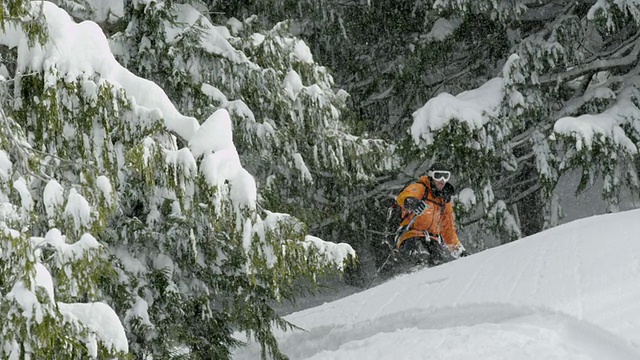 MS PAN TU TD POV滑雪者在树林中滑雪/ Squamish, BC, Canada视频素材