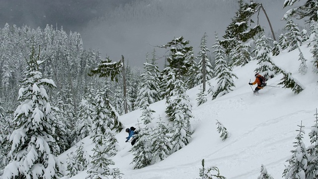 MS TS SLO MO滑雪者通过树木滑雪/ Squamish, BC，加拿大视频素材