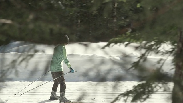 MS TS一家在冬季进行越野滑雪/加拿大BC省Squamish视频素材