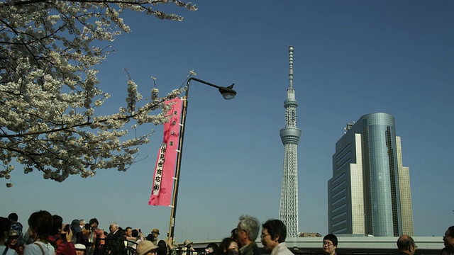 东京天空树和樱花视频素材