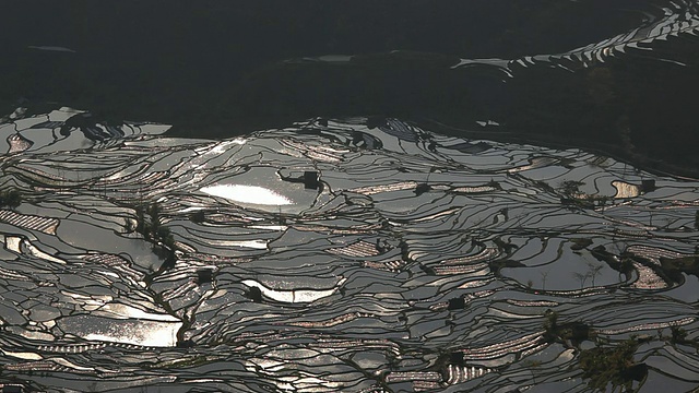 在阳光下的梯田里，哈尼族人建造的，云南西南部的元阳县，中国，亚洲，视频素材