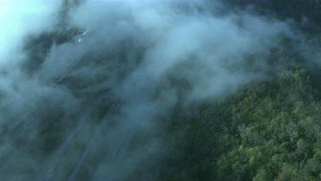 长镜头空中跟踪-左放大-鸽子飞过雾蒙蒙的农田。/美国视频素材