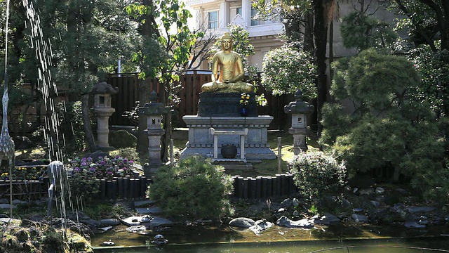 日本神奈川川崎池塘附近的MS佛像视频素材