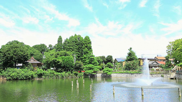 池塘中的MS喷泉/世田谷区，东京，日本视频素材